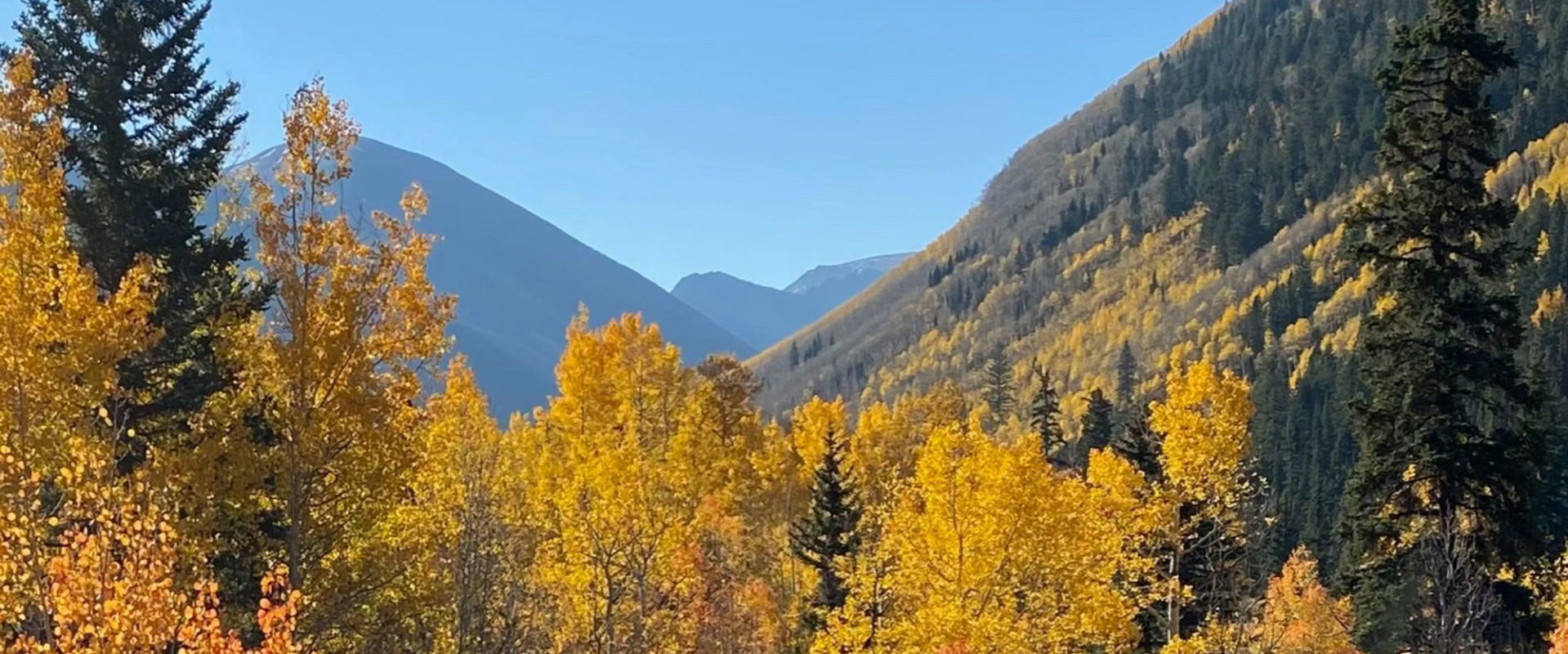 Dr. Candace Love Colorado Mountains