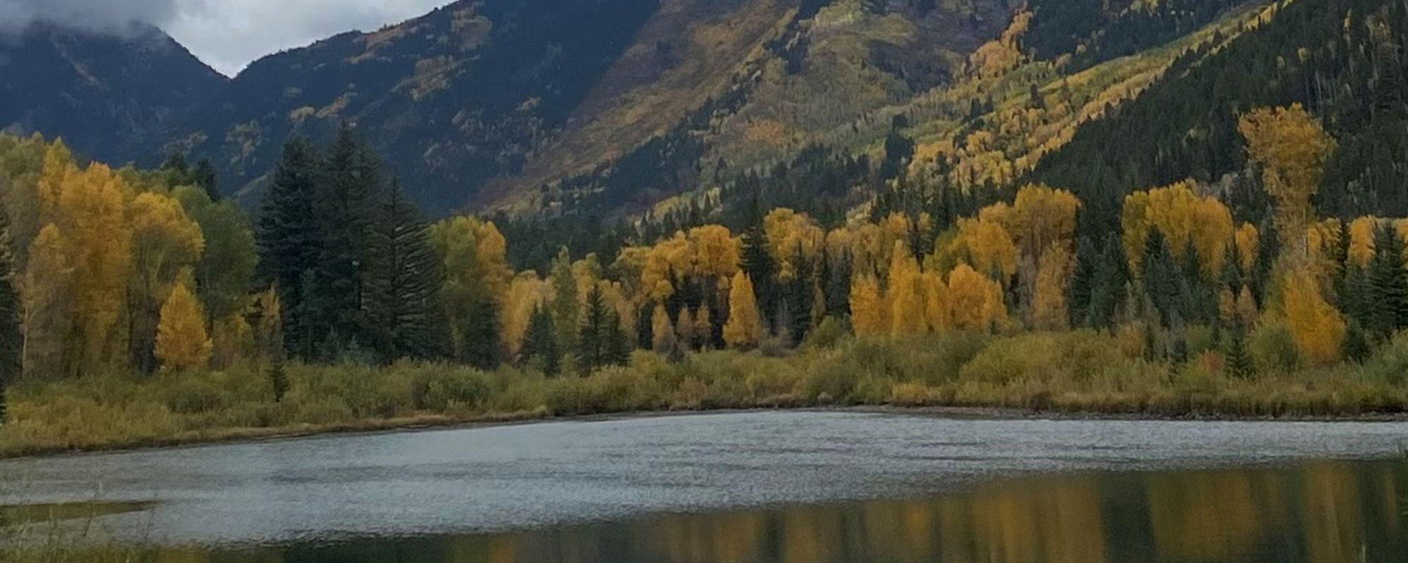 Helath Psychology 2 2000x800 Helath Psychology 2 2000x800